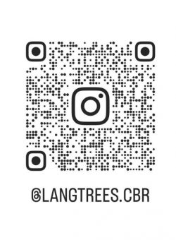 Keep up to Date on Instagram!